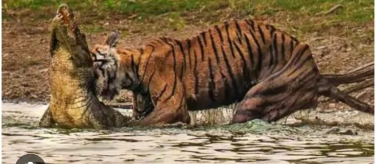 WhatsApp Image 2025-12-16 at 9.44.00 AM