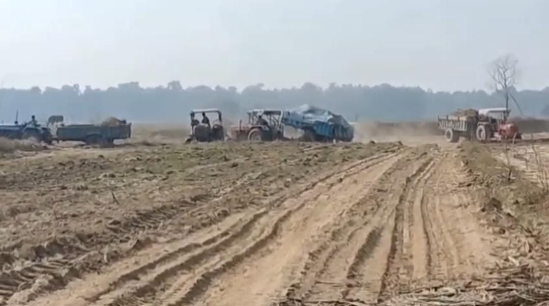 WhatsApp Image 2026-01-13 at 4.45.39 PM (1)