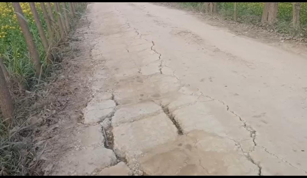 सड़क बर्बाद