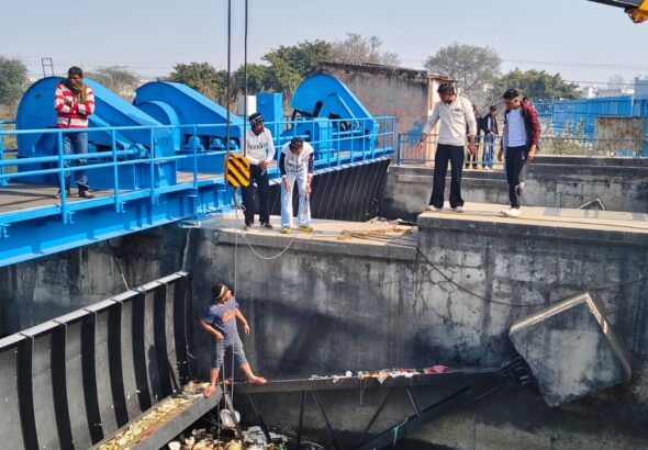 13 गायों के शव