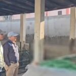 गुलदार का शव