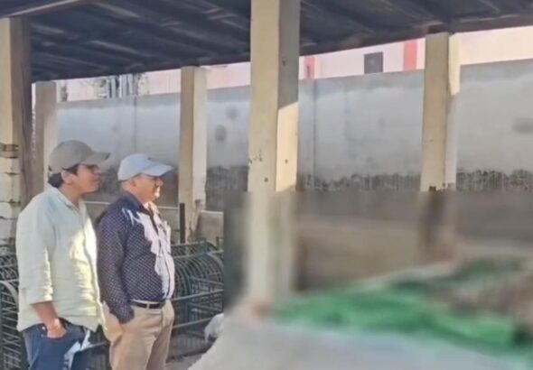 गुलदार का शव