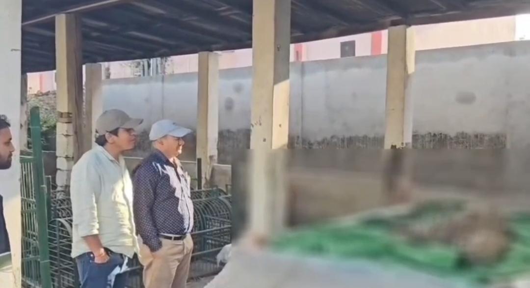 गुलदार का शव