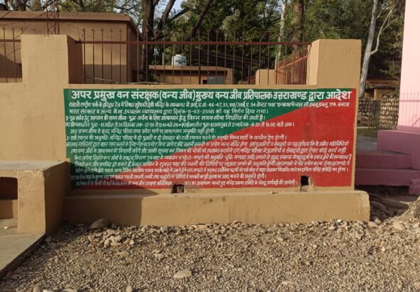 वन विभाग