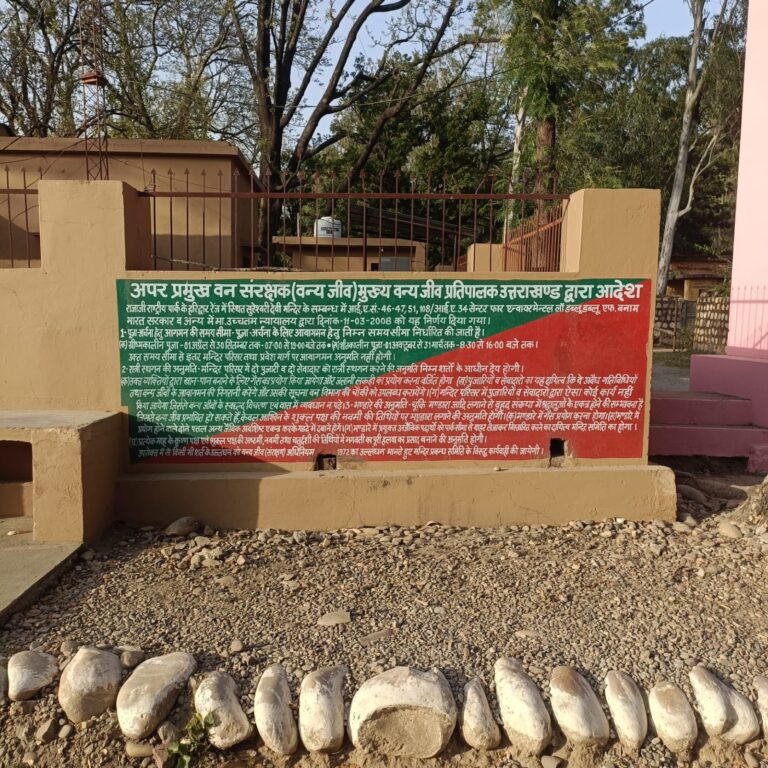 वन विभाग