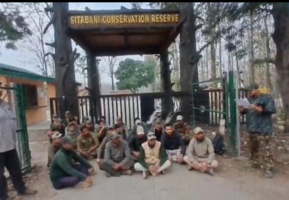 नेचर गाइड
