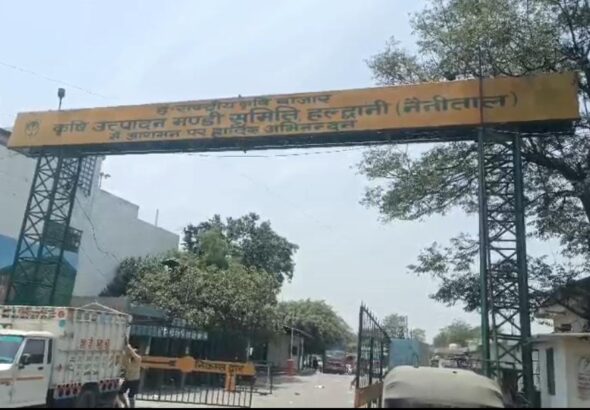 हल्द्वानी मुख्य कृषि मंडी