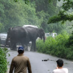 कोटद्वार