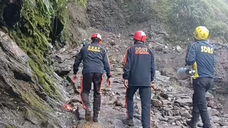 पहाड़ी से गिरे पत्थर